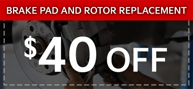 Spring Special - Removes pollen and mold