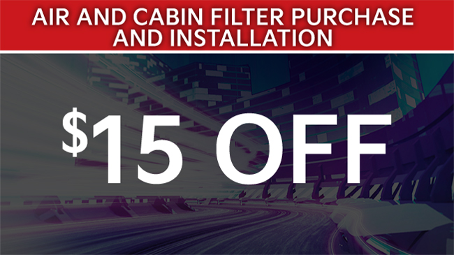 Air and Cabin Filter purchase and installation