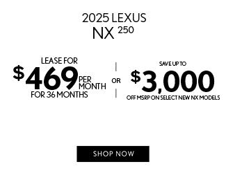 2025 Lexus NX 250