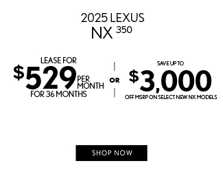2025 Lexus NX 250