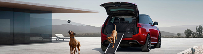 A red Land Rover Parked in a driveway with 2 dog exiting the back.