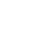 Lamborghini Sarasota logo