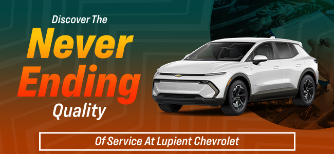 discover the never ending quailty