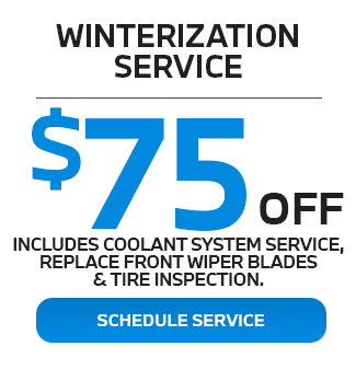 Winterization service offer