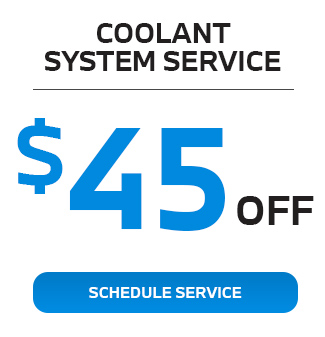 coolant system service
