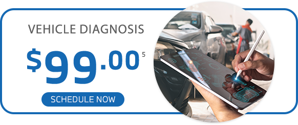 Vehicle Diagnosis offer