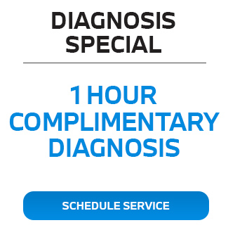 Diagnosis special services