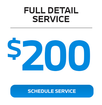 Full detail service special