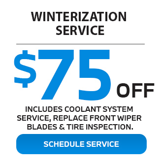 Winterization Service offer