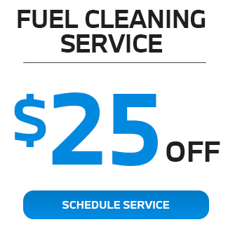 Fuel Cleaning service offer