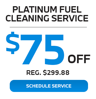 Platinum fuel sleaning service offer