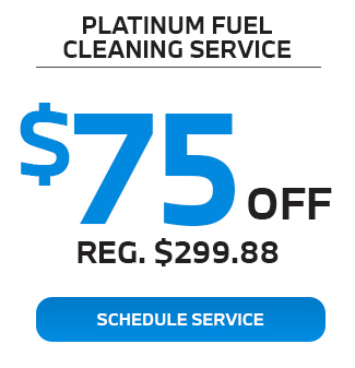 Platinum fuel sleaning service offer