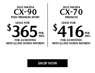 Premium offer