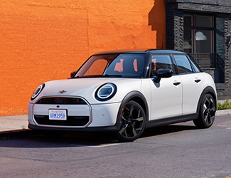 LOYAL MINI CUSTOMERS