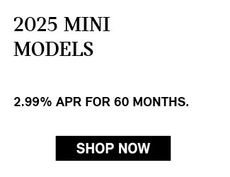 SELECT 2025 MINI MODELS
