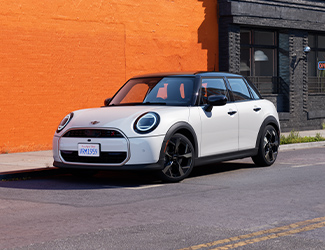 LOYAL MINI CUSTOMERS
