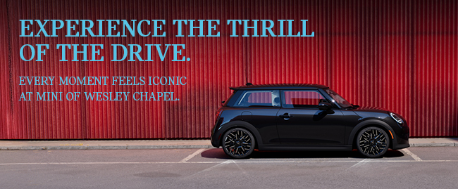 Experience the Thrill of the Drive.