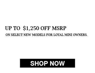 2025 MINI MODELS offer