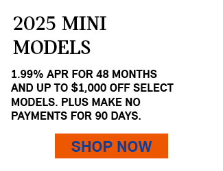 SELECT 2025 MINI MODELS