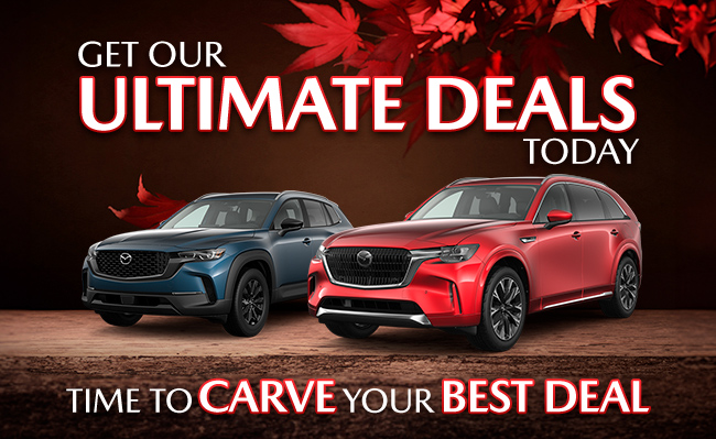 Get our ultimate deals today