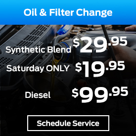 Oil and Filter Change special