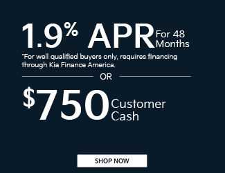2026 Kia Carnival offer