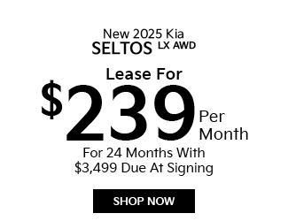 offer on new Kia Seltos image