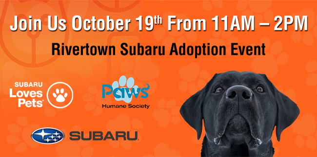 Join us October 19th from 11am-2pm - Rivertown Subaru Adoption Event