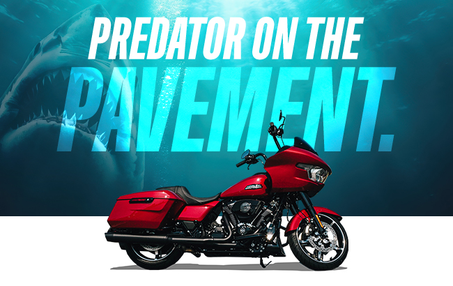 Predator on the Pavement