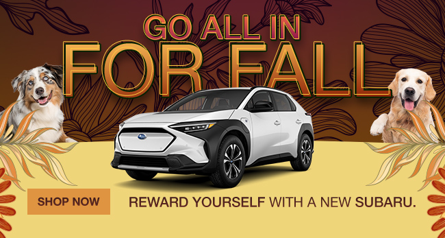 Go all in for fall - reward yourself with a new Subaru