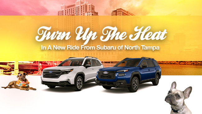 Drive into March at Subaru of North Tampa