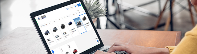 person shopping cars online