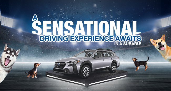 A sensational driving experience awaits in a Subaru