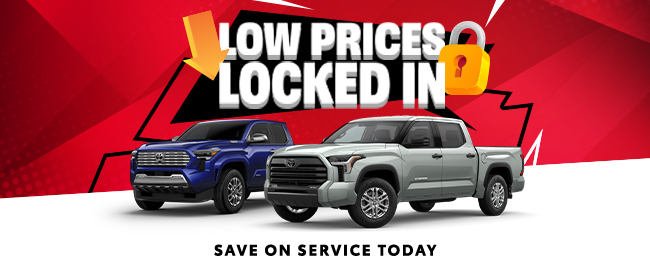 Low Prices Locked in savings