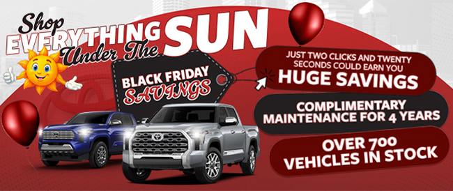 everything under the sun black friday savings