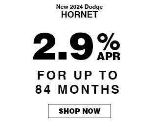 Dodge Hornet Special offer