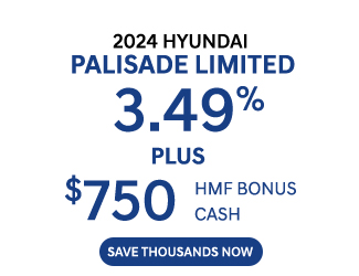 special offer on new Palisade Limited