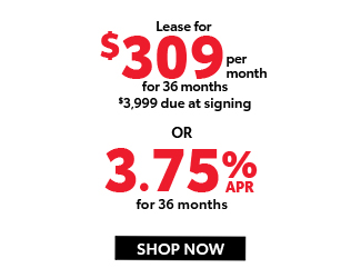 2025 Toyota RAV4 Gas Model offer