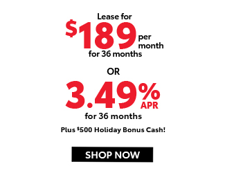 2025 Toyota RAV4 Gas Model offer