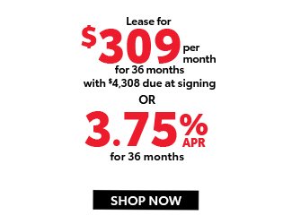 2025 Toyota RAV4 Model offer