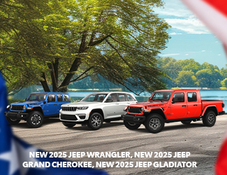 Lineup of Jeeps image