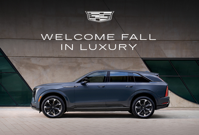 welcome Fall in Luxury