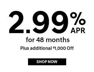 Hyundai Palisade offer