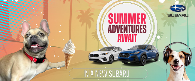 summer adventures await