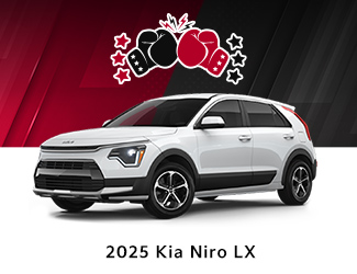 Kia niro image