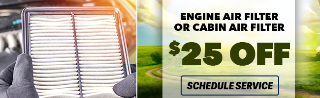 Engine Air Filter or cabin air filter