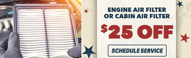 Engine Air Filter or cabin air filter