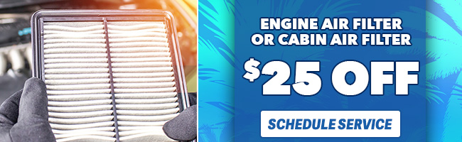 Engine Air Filter or cabin air filter