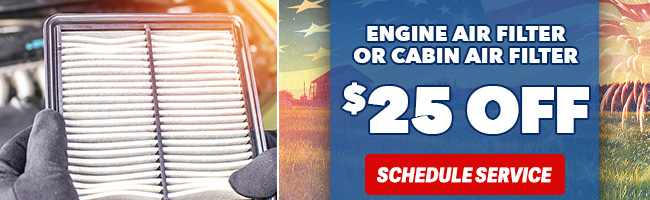 Engine Air Filter or cabin air filter
