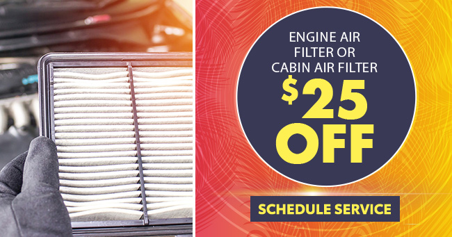 Engine Air Filter or cabin air filter